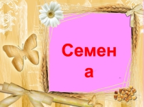 Презентация по окружающему миру на тему  Семена