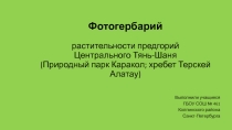 Презентация Фотогербарий растительности Ценрального Тянь-Шаня