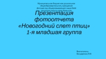 Презентация фотоотчета новогодний слет птиц
