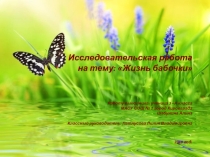 Презентация по окружающему миру исследовательский проект Жизнь бабочек