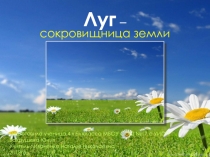 Презентация  Луг. Подготовила ученица 4 Б класса МБОУ СОШ № 17 с УИОП Вахрушева Юлия