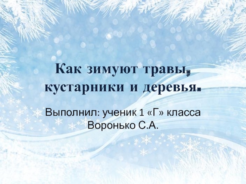 Презентация Презентация по окружающему миру Как зимуют травы, кустарники и деревья