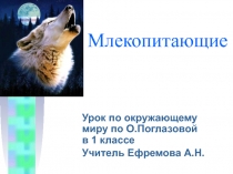 Презентация к уроку окружающего мира