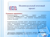 Презентация Индивидуальный итоговый проект