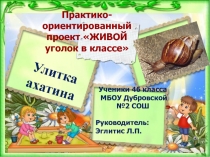 Презентация по окружающему миру Проект Живой уголок