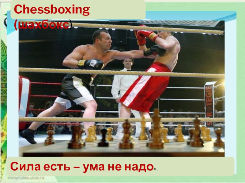 Презентация о необычных видах спорта в Британиии Chessboxing (шахбокс)Сила есть – ума не надо». Chessboxing (шахбокс)Сила есть – ума не надо».