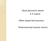 Презентация по русскому языку на тему Существительное (5 класс)