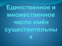 Презентация по русскому языку на тему Единственное и множественное число имён существительных (2 класс)