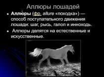 Презентация по животноводству на тему Аллюры лошадей