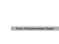 Презентация по биологии на тему Млекопитающие (7 класс)