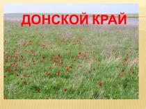 Презентация Дон наш Батюшка