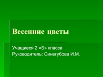 Презентация по окружающему миру Весенние цветы (2 класс)