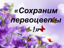 Презентация к теме Сохраним Первоцвет