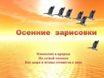 Осенние зарисовки