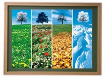 Презентация к уроку. Предложение как группа слов, выражающая законченную мысль