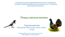 Презентация к уроку окружающего мира на тему Птицы- лесные жители (2 класс)