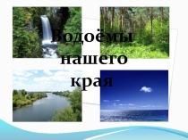 Презентация по окружающему миру Водоёмы нашего края