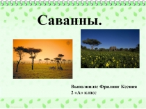 Домашняя работа. Саванны. Презентация.