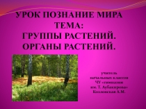 Урок по познанию мира Группы растений. Органы растений.