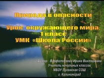 Презентация по окружающему миру Природа в опасности