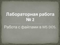 Презентация: Файловая система MS DOS