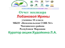 Отчет эколидера Лобановой Ирины