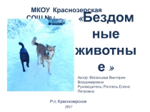 Призентация: Бездомные животные нашего города