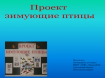 Проект Зимующие птицы нашего края