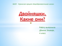 Презентация Двойняшки. Какие они?