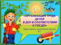 Организация труда детей в ДОУ в соответствии с ГОС ДО