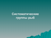 Презентация по биологии Рыбы
