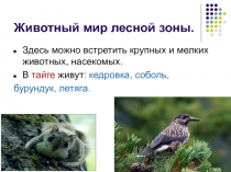 Презентация по окружающему миру на тему Животный мир (4 класс)