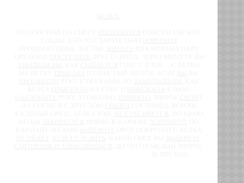 Презентация по русскому языку на тему Глагол как часть речи Белка. Под сосной на снегу виднеются совсем свежие следы. Кто-то старательно Белка. Под сосной на снегу виднеются совсем свежие следы. Кто-то старательно ворошил прошлогодние листья. Выньте из