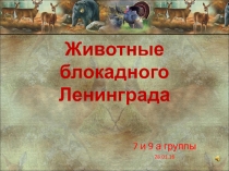 Презентация к внеклассному мероприятию Животные блокадного Ленинграда