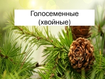 Презентация по окружающему миру Голосеменные растения (3-4 класс)