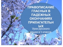 Правописание гласных в падежных окончаниях прилагательных
