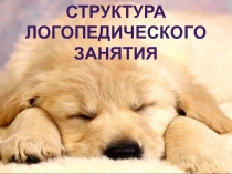 Презентация : Структура логопедического занятия