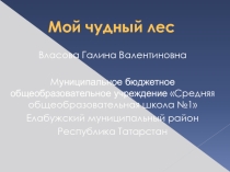 Презентация Мой чудный леся, приложение к методической разработке Счего начинается лес?