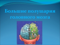 Презентация по биологии на тему Большие полушария