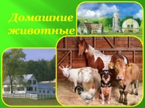 Презентация к занятию по коммуникации
