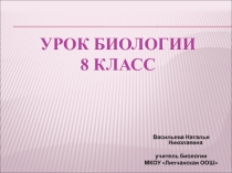 Презентация по биологии на тему Пищеварение (8 класс)