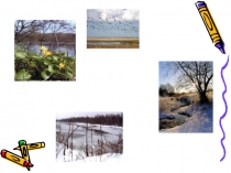 Охрана диких животных.