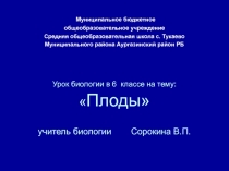 Презентация по биологии на тему Плоды (6 класс)