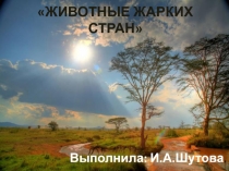 Презентация Животные жарких стран