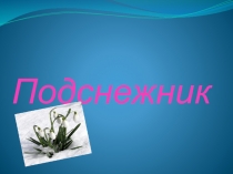 Презентация по технологии для начальных классов Подснежник.