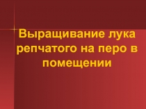 Презентация к исследовательской работе Выращивание лука на перо