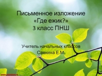 Презентация по русскому языку