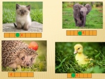 Презентация по обучению грамоте на тему:  Буква Ё в начале слова 1 класс