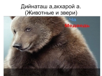 Словарная работа Звери и животные