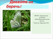 Давайте их беречь